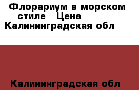 Флорариум в морском стиле › Цена ­ 1 000 - Калининградская обл.  »    . Калининградская обл.